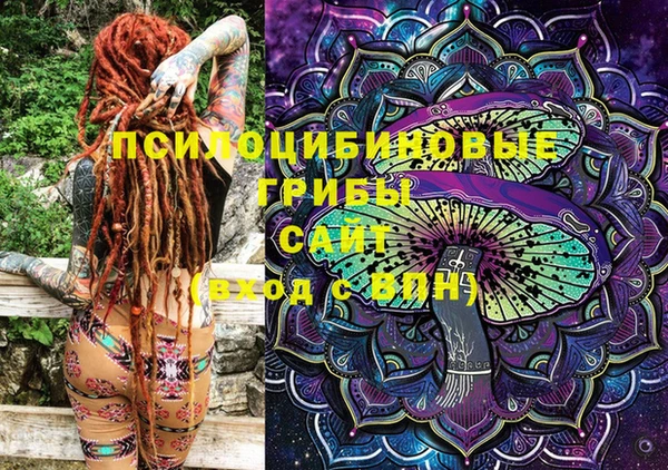 PSILOCYBIN Осташков