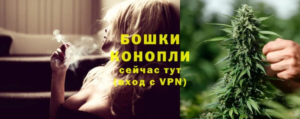 PSILOCYBIN Осташков