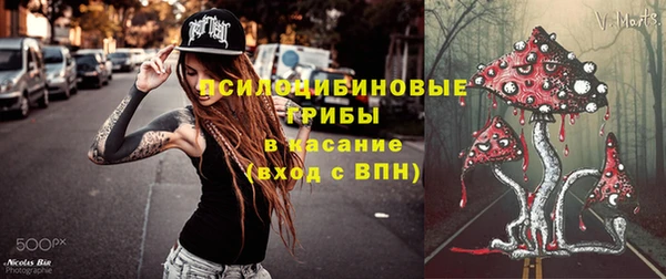 PSILOCYBIN Осташков