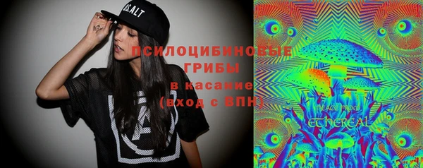 PSILOCYBIN Осташков