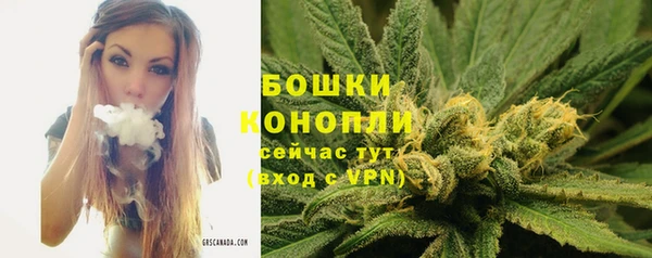 PSILOCYBIN Осташков