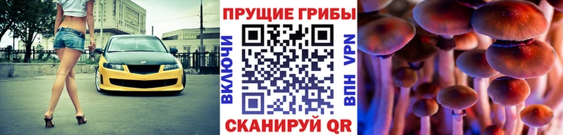 Купить  Нефтекамск  Псилоцибиновые грибы Psilocybine cubensis 